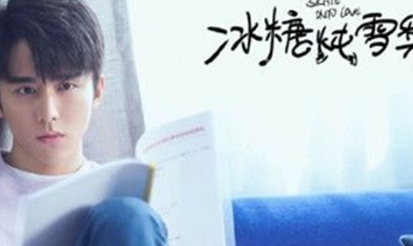 《冰糖炖雪梨》讲述了什么故事 什么时候播出呢