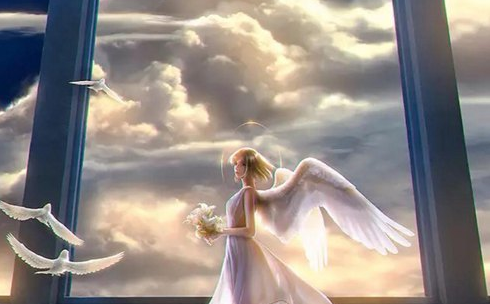 1577259772439681.png image.png