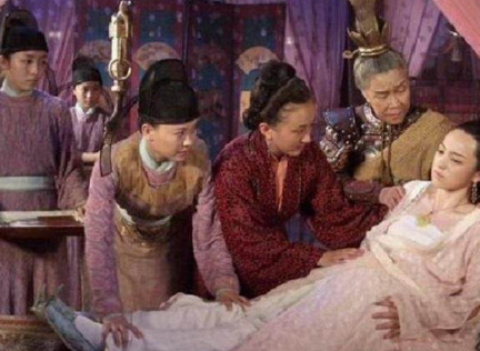 狸猫换太子到底是什么样的 这个典故的又是怎么得来的