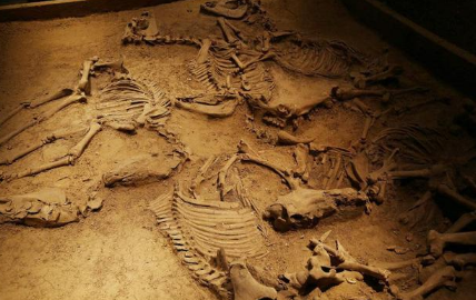 1561704833924745.png image.png