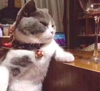 古时候的人是怎么吸猫的 简直丧心病狂蛮不讲理