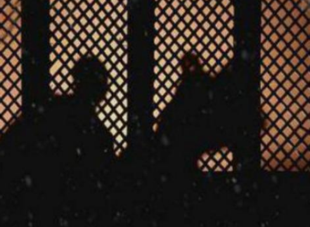 有关于烛影斧声的故事是什么样的 赵光义弑兄上位是真的吗