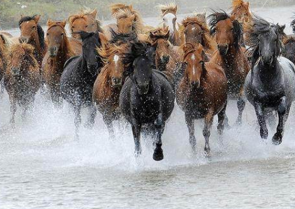 清朝是如何灭亡蒙古政权的 满清都用了什么方法