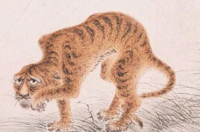 华岩画了一只不一样的老虎！一幅病态虎为何能成为传世名画？