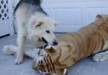 虎落平阳中的平阳指的是什么地方 里面又有什么故事呢