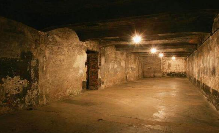 奥斯维辛集中营的毒气室