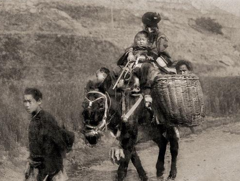 1557552055280731.png image.png