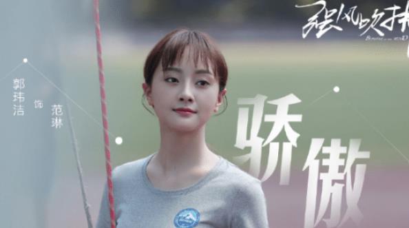 《强风吹拂》夏迪喜欢的是范琳还是林峰？他最后和谁在一起了？