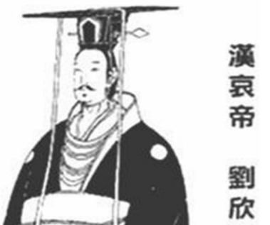 汉哀帝为什么会出现两次登基的情况 主要是因为什么导致的