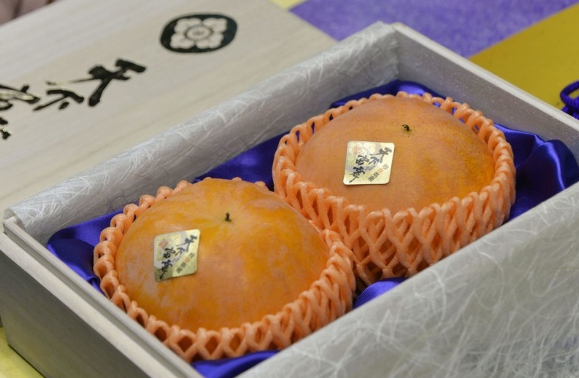 70万日元的天价柿子！日本的柿子为什么这么值钱？