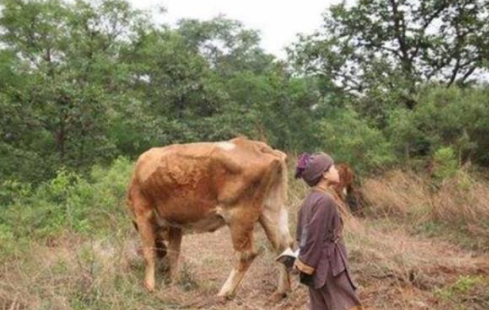 1573526111727177.png image.png