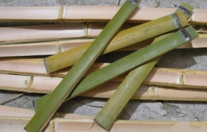 1566453780488746.png image.png