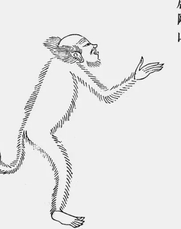 1547263211828276.png image.png