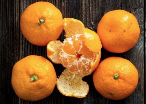 橘子皮属于什么垃圾？橘子皮是干垃圾还是湿垃圾？