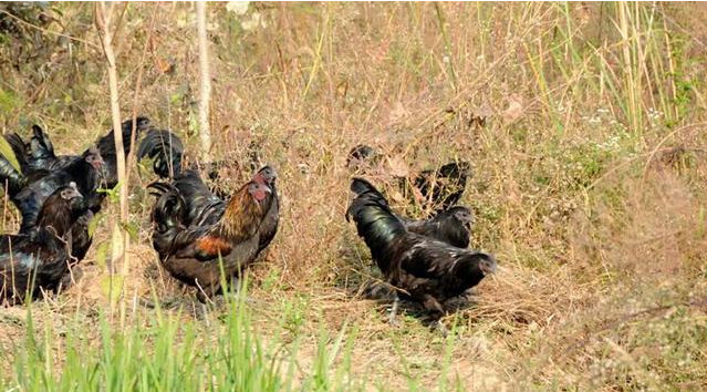 1572252045249214.png image.png