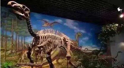 世界上最大的恐龙化石在哪里？恐龙化石有多大？