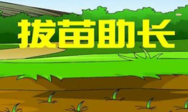 成语“拔苗助长”的原意是什么？其中又有哪些历史典故呢？