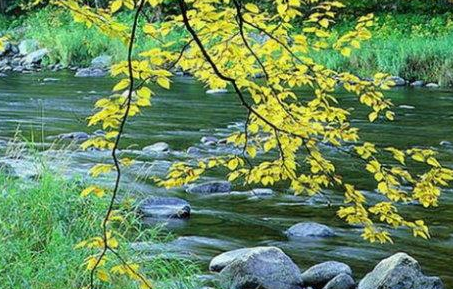 《凤栖梧·兰溪》曹冠，原文翻译及鉴赏