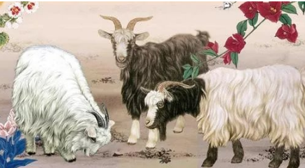 为什么说属羊女子命不好？都是中国相术惹的祸！