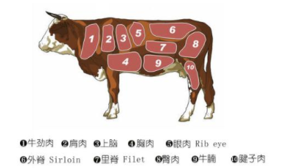 成语“庖丁解牛”的原意是什么？其中又有哪些历史典故呢？