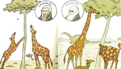 早于达尔文进化论的进化学说，拉马克学说的介绍
