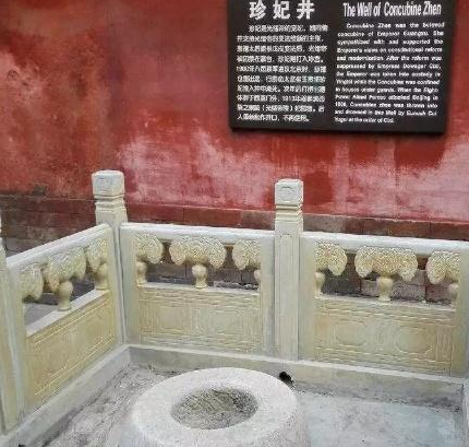 历史上的珍妃到底是什么样的 珍妃的死是真的自找的吗