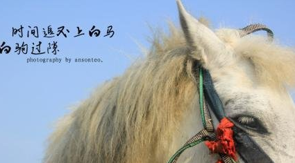 白驹过隙，忽然而已的典故出自哪里？它是什么意思？