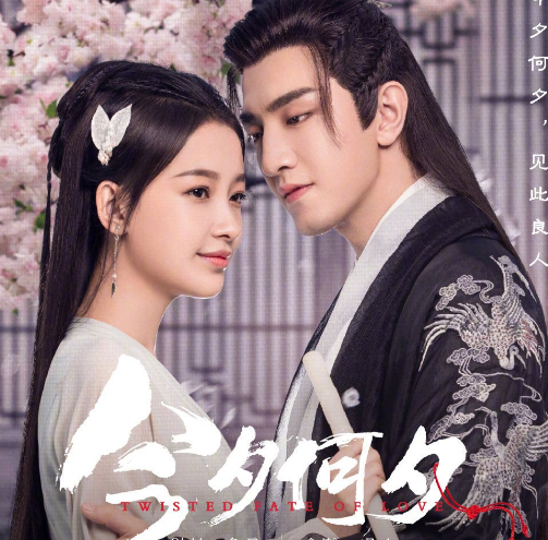 《今夕何夕》饰演男主和女主的人是谁 该剧好看吗
