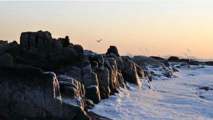海雪是怎么形成的？海雪的危害有哪些？