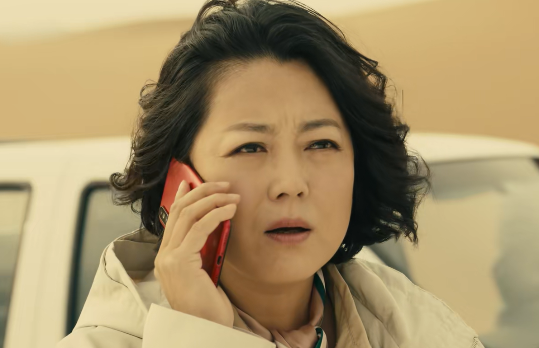 《月是故乡明》张锦绣是谁演的？张锦绣扮演者资料介绍