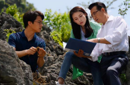 《石头开花》什么时候开播？主要剧情是什么？