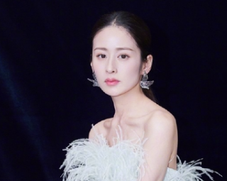 《起跑线》是什么剧？贤妻良母专业户”刘涛再上线