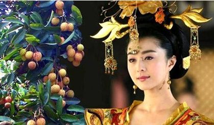 杨贵妃吃到的荔枝是哪里来的？真的是从岭南运来的吗?
