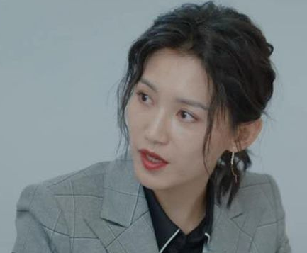 《刺》该剧好看吗 该电视剧讲述了什么故事