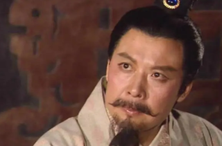 刘备一辈子打了十多场仗，没有一次带着诸葛亮吗？