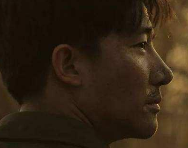 《闽宁镇》是什么题材的电视剧？“神仙”演员阵容引人期待
