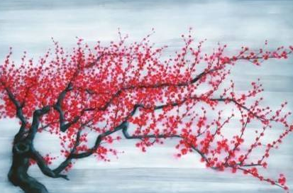 《红梅》宋代王十朋所作的诗，注释翻译赏析