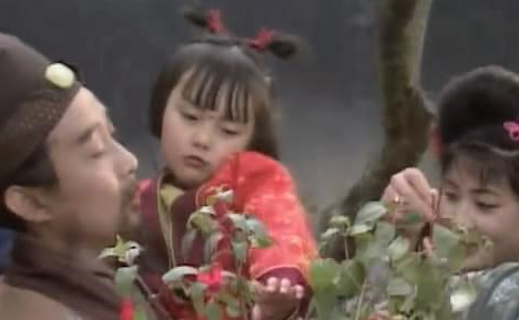 甄英莲被谁拐走了？被拐后为何不记得父母了？