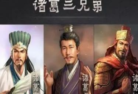 诸葛亮三兄弟为什么分别投靠三个国家 他们这么做的目的是什么