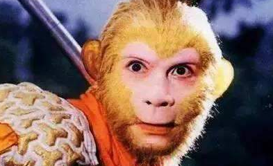 有哪些证据证明孙悟空并不是灵明石猴？
