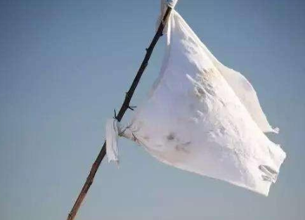举白旗是如何成为投降的标志的？为什么是白旗？