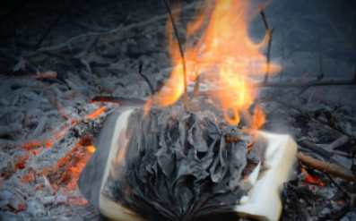 除了秦始皇外还有谁曾经大量焚烧书籍？