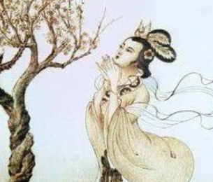 她是“红颜祸水”的典型代表，长的太漂亮三个国家因此灭亡