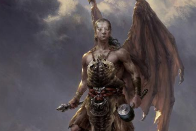 辛环的原型是什么？是人还是鸟？