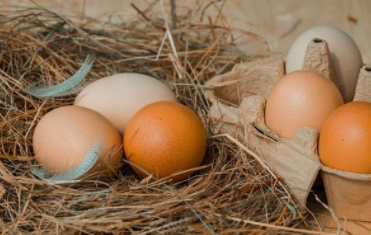 梦见“鸡蛋”有哪些象征意义？与现实的哪些反应有关？