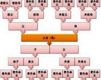 古代诛九族牵扯的人那么多 女婿是不是也在范围之中吗
