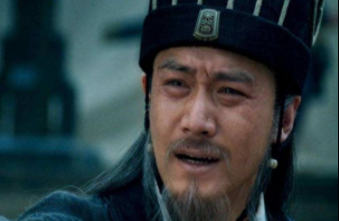 三国奇才诸葛亮，他的儿子诸葛瞻才学如何？