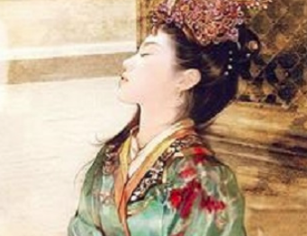 对长平公主感兴趣的小伙伴们,趣历史小编带来了详细的文章供大家