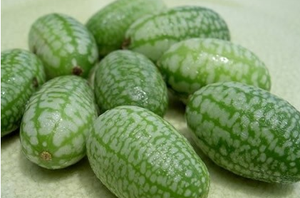 世界上什么西瓜是最小的？这种西瓜卖多少钱？
