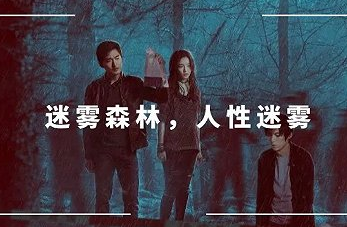 《非常目击》主线剧情是什么？他们是如何进入“迷雾森林”的？
